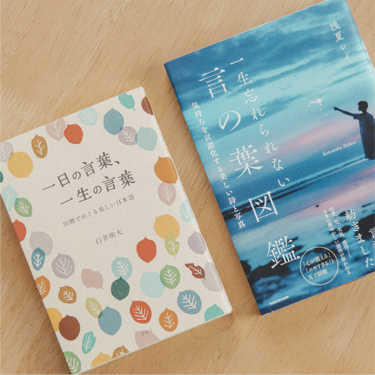 時を越えて言葉と出会うセット