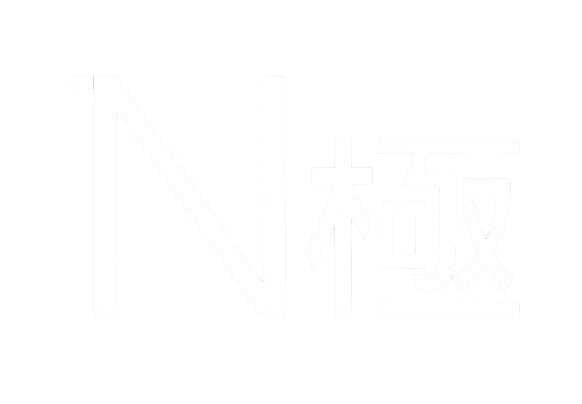 N極