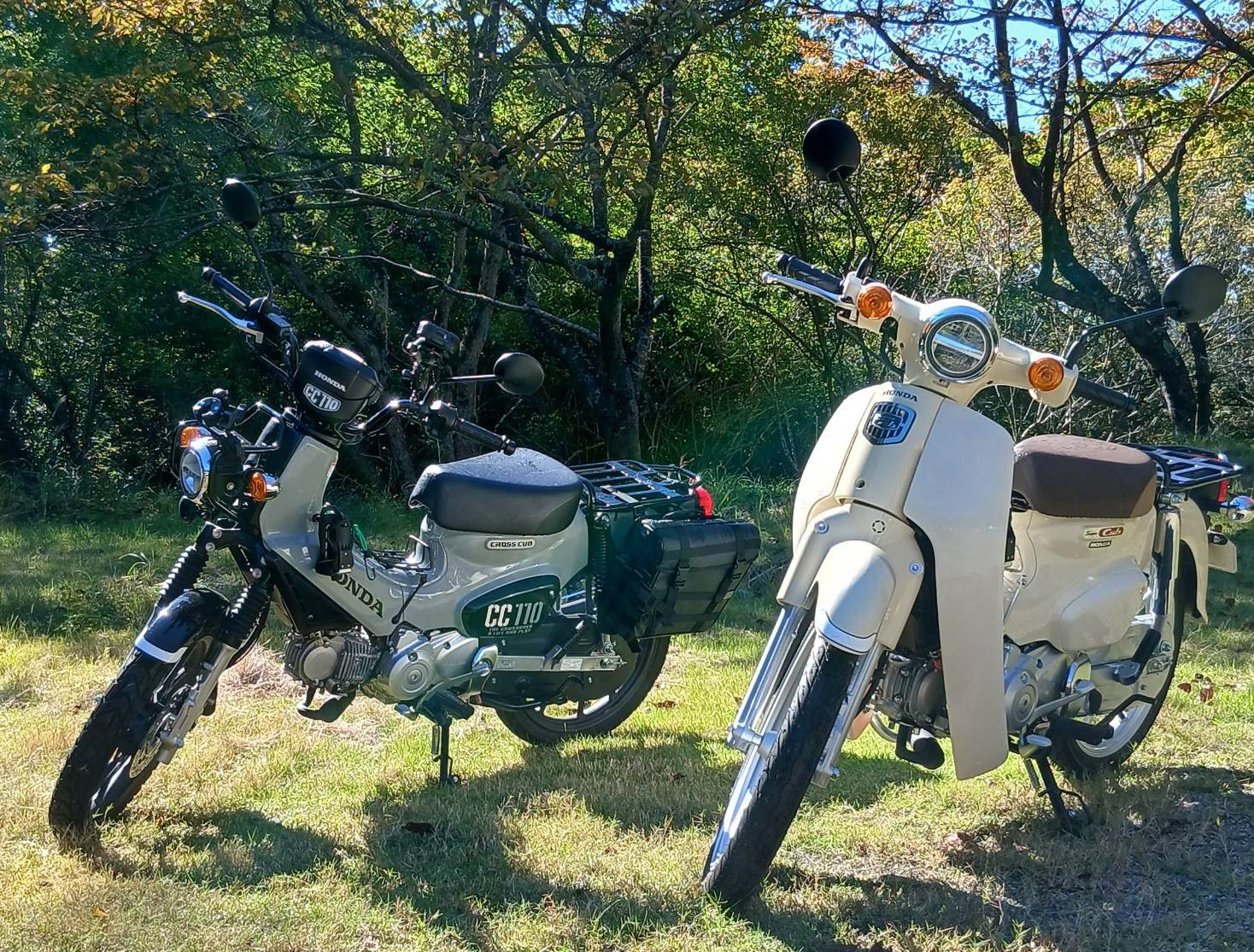 木々を背景に並ぶカブ夫婦のスーパーカブとクロスカブ