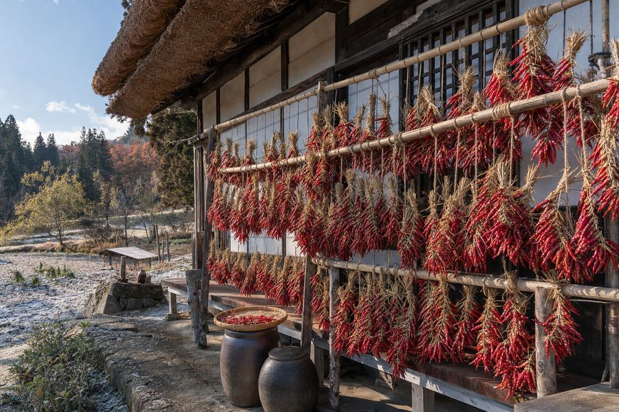 冬の天日干し