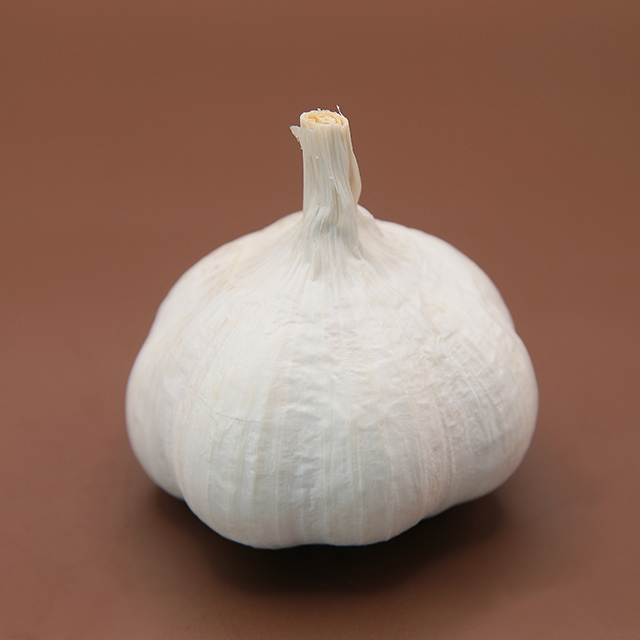 金郷