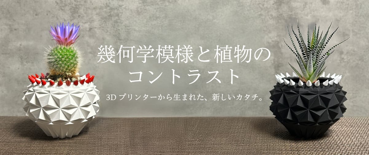 幾何学模様と植物のコントラスト