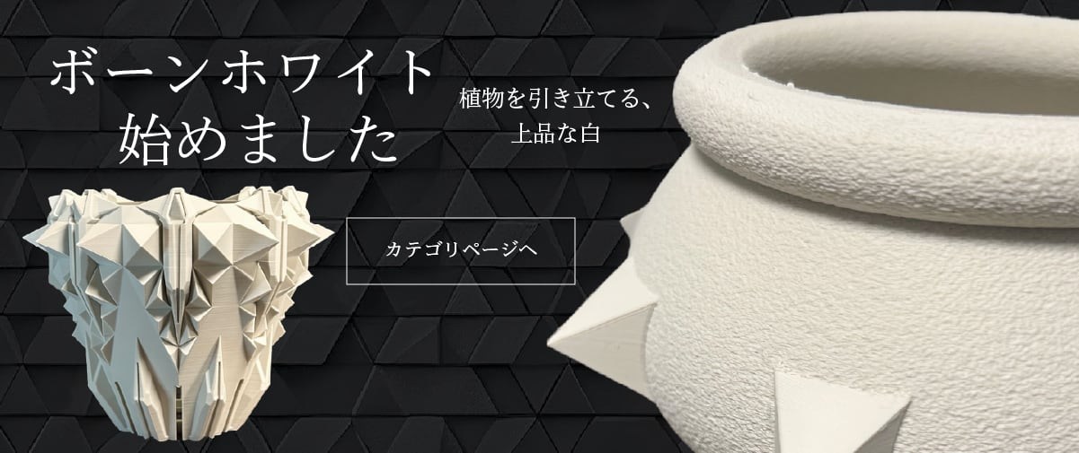 ボーンホワイト始めました