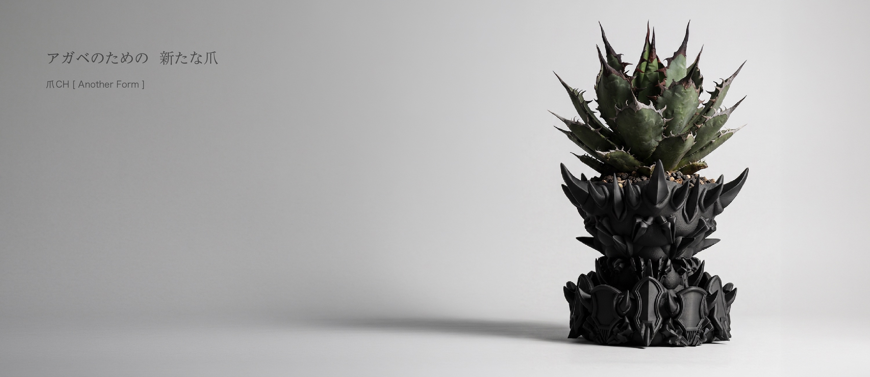 新作 爪CH[Another Form] 重ね鉢セット アガベのための新たな爪
