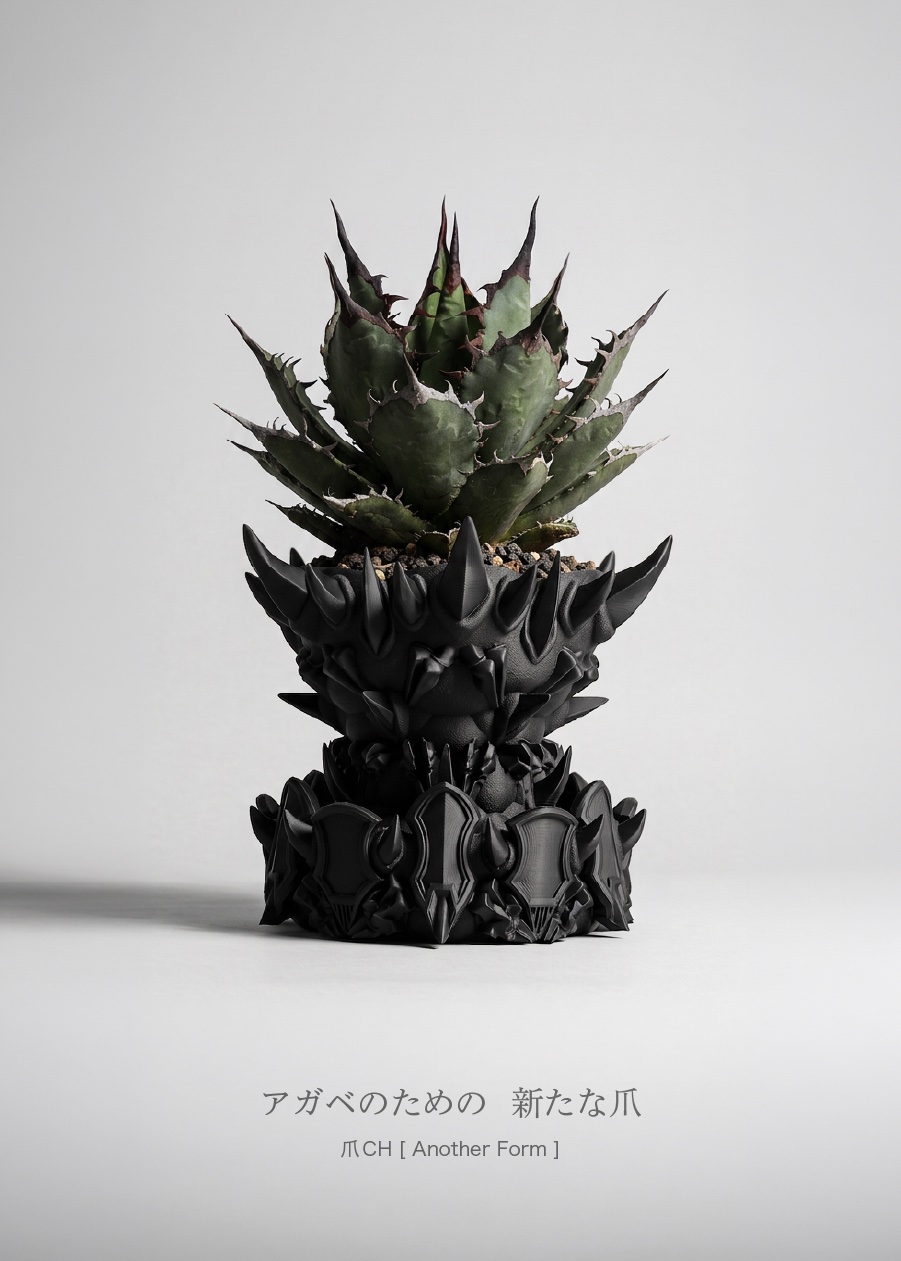 新作 爪CH[Another Form] 重ね鉢セット アガベのための新たな爪