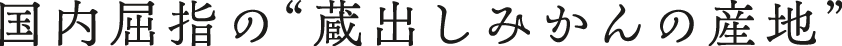 国内屈指の“蔵出しみかんの産地”