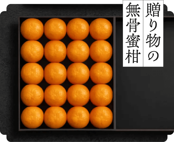 【贈り物の無骨蜜柑】歴史を味にした蜜柑をあなたの冬に。