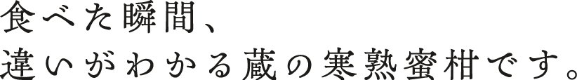 食べた瞬間、違いがわかる蔵の寒熟蜜柑です。