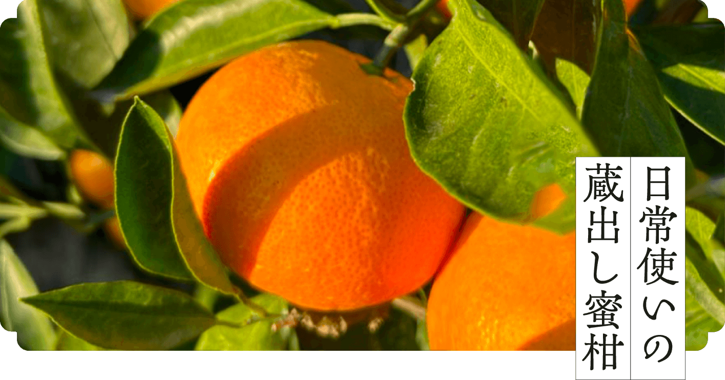 日常使いの蔵出し蜜柑