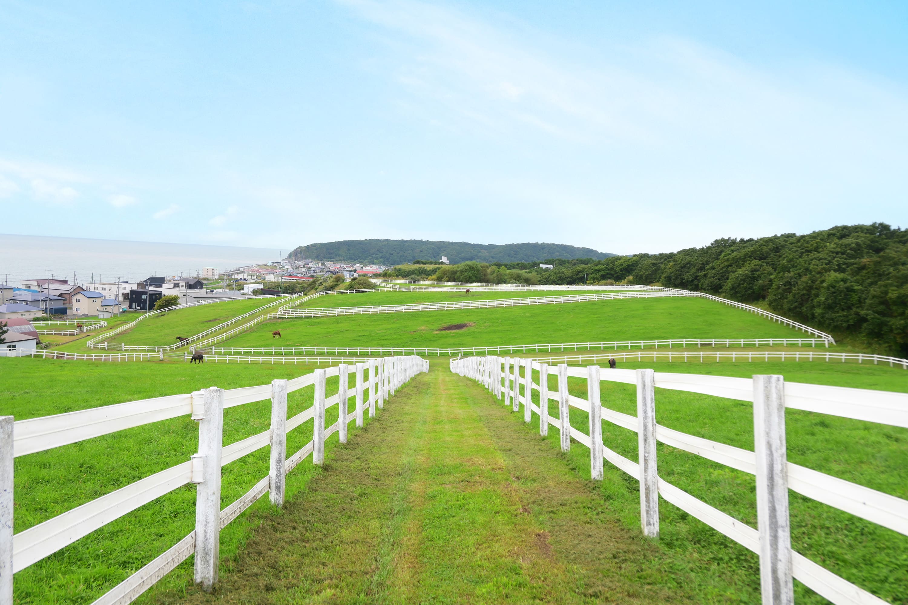 現役の馬も引退した馬も