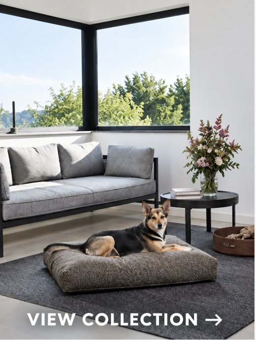 German style bed and living