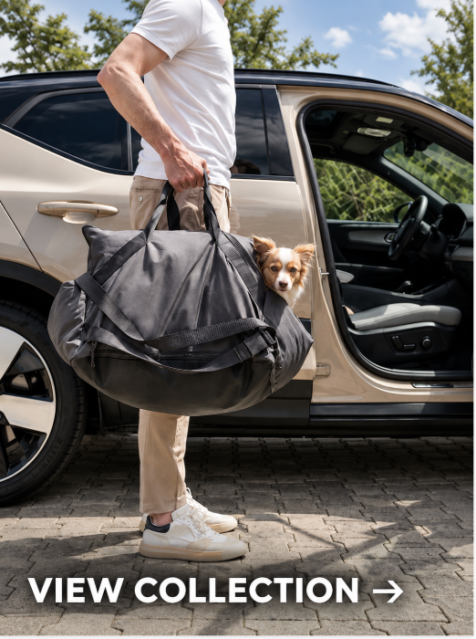 German style travel