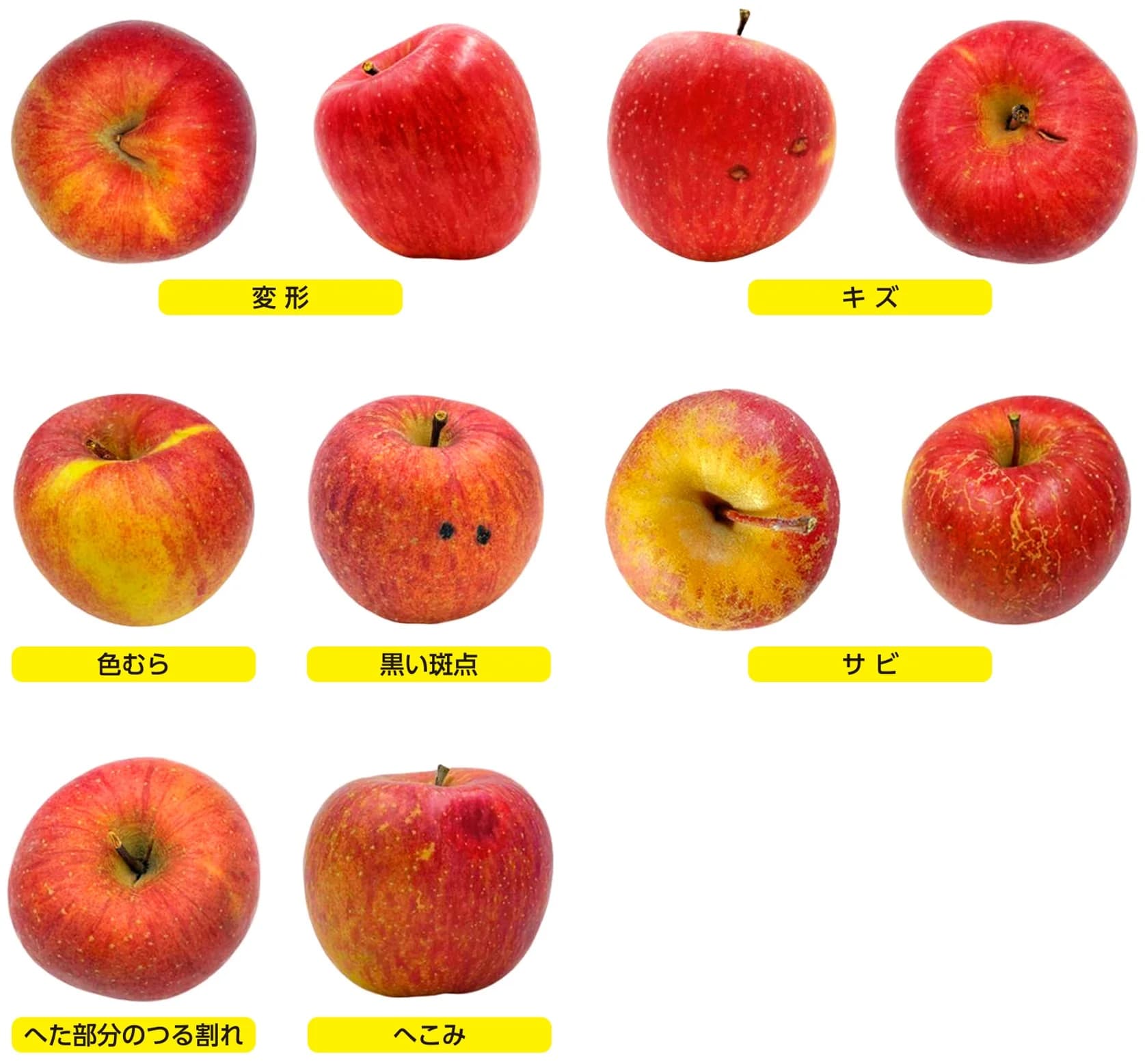 商品の状態説明