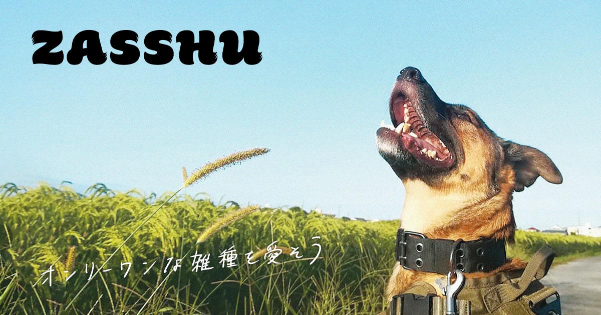 ZASSHU vol.2 | ZASSHU