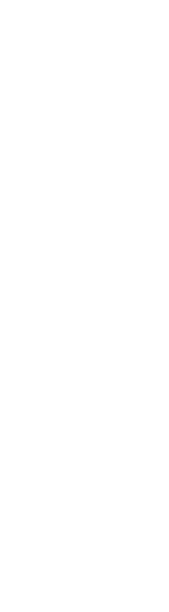 いつも、いつまでも、そばに